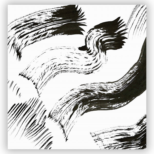 Bold Black and White Contemporary Ink Art Shower Curtain