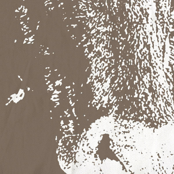 Brown Cows Shower Curtain