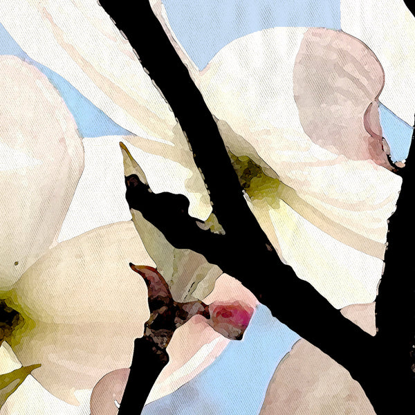 Blush Pink Dogwood Flowers Shower Curtain, With Clear Blue Sky