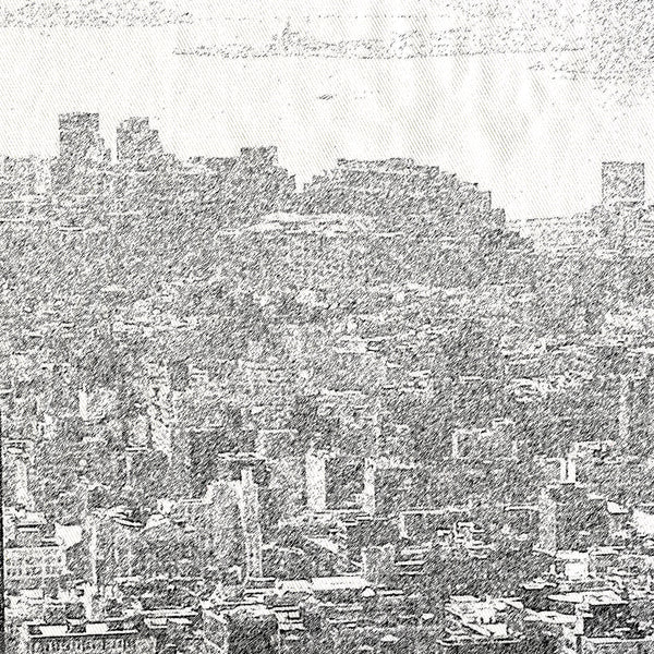 New York Skyline's Empire State Building Shower Curtain - Light Gray / Neutral Tone