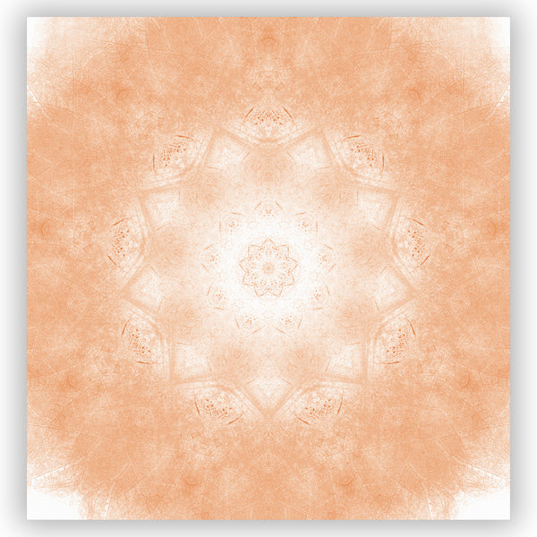 Earthy Orange Mandala Pattern Shower Curtain