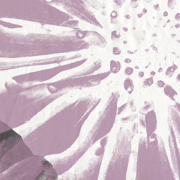 Pink and Gray Zinnia Giant Flowers Shower Curtain Modern Art Print on White