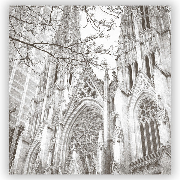 New York Cityscape: Saint Patrick's Cathedral - Neutral Gray and White Shower Curtain