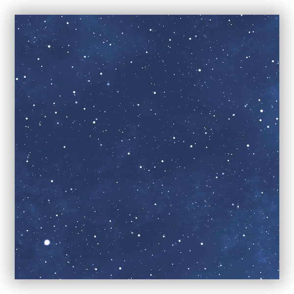 Midnight Sky with Stars Shower Curtain