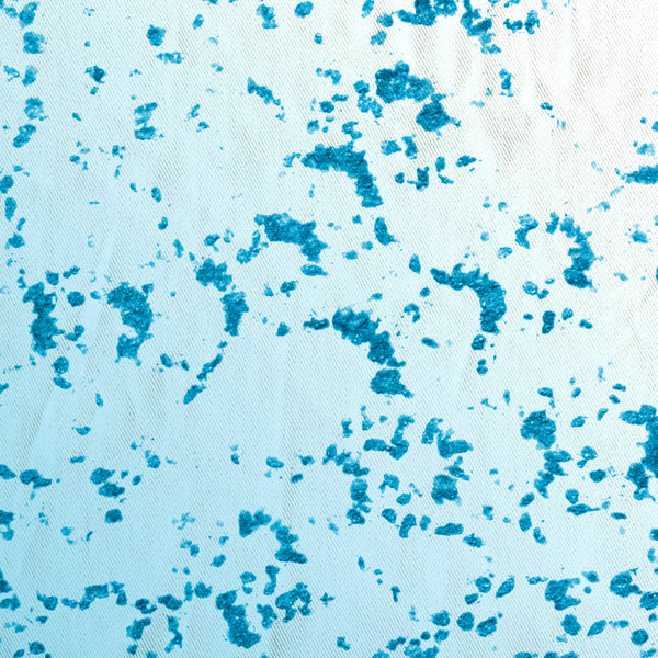 Tropical Teal Ombre & Lace Mandala Tropical Beach Chic Shower Curtain