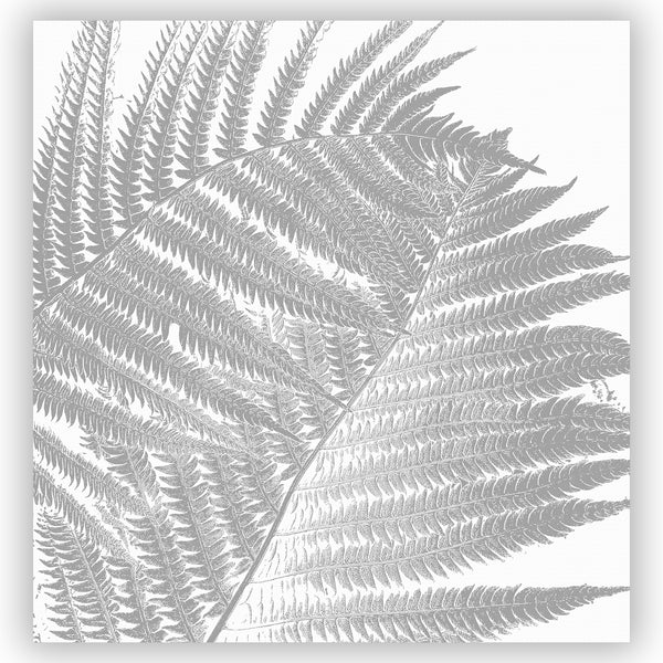 Two Gray Ferns Shower Curtain - Metro Shower Curtains