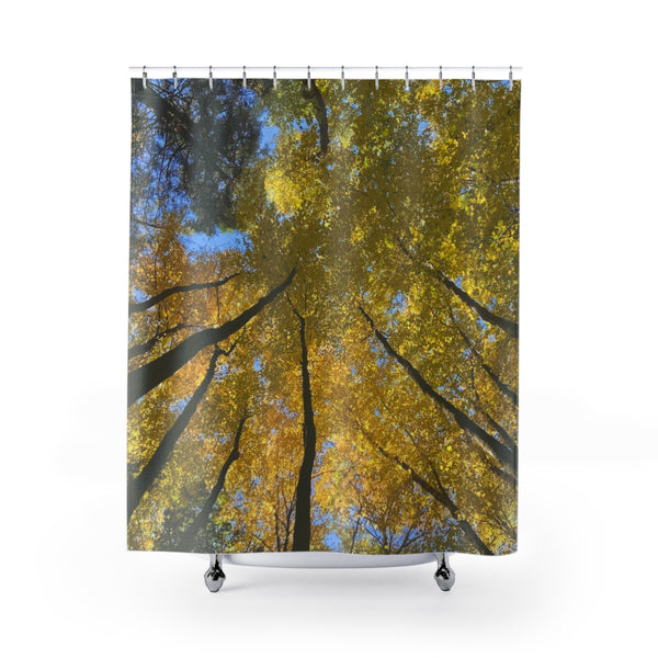 Golden Trees Fall Forest Scene Shower Curtain
