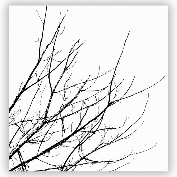 Minimalist Winter Branches Black and White Shower Curtain