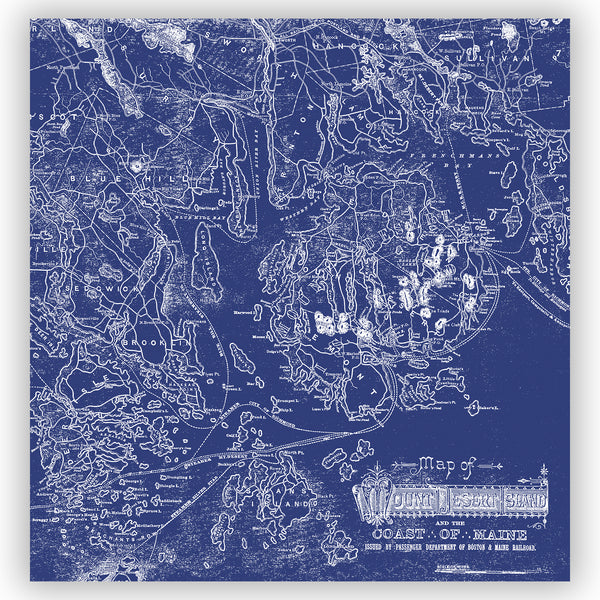 Blue & White Acadia National Park Vintage Maine Map Shower Curtain - Metro Shower Curtains