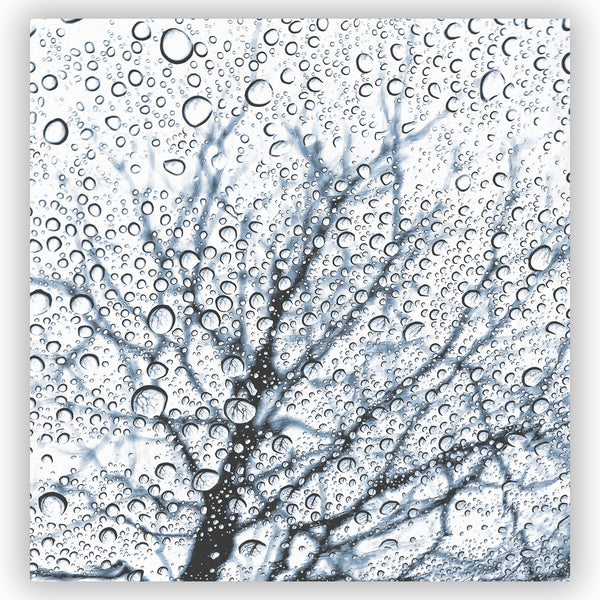 Slate Blue Tree with Raindrops Print Shower Curtain - Metro Shower Curtains