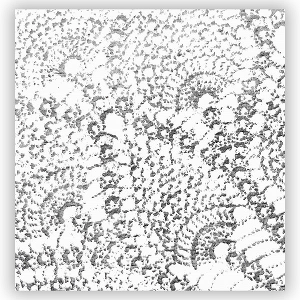 Bold Black and White Boho Paisley Shower Curtain