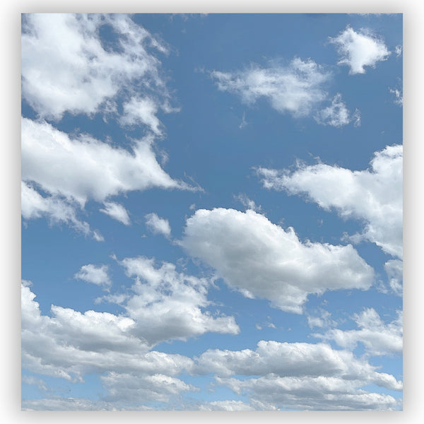 Clouds on a Summer Day Blue and White Fabric Shower Curtain - Metro Shower Curtains