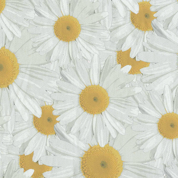 Spring Daisy Fields Shower Curtain