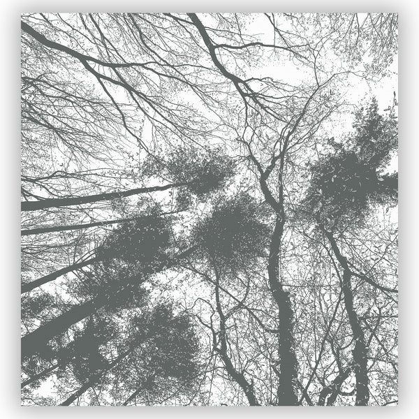 Forest Trees Canopy View Gray on White Silhouette Shower Curtain