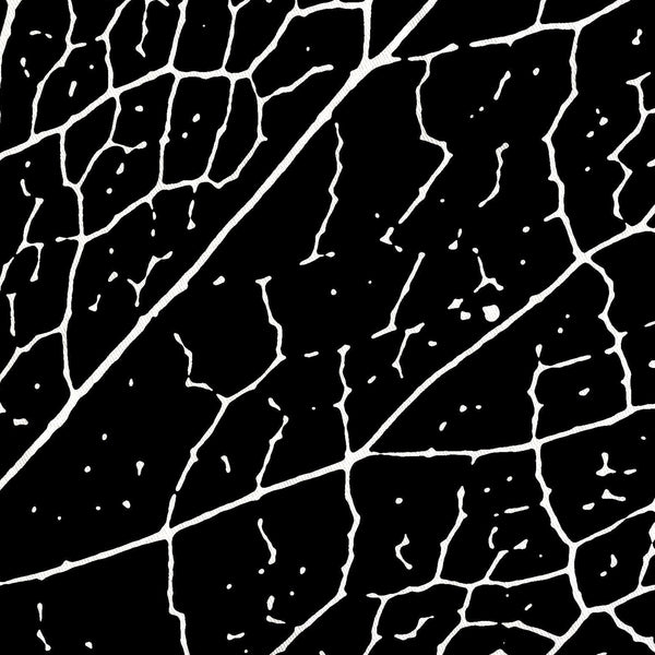 Bold Black and White Hellebore Leaf Shower Curtain