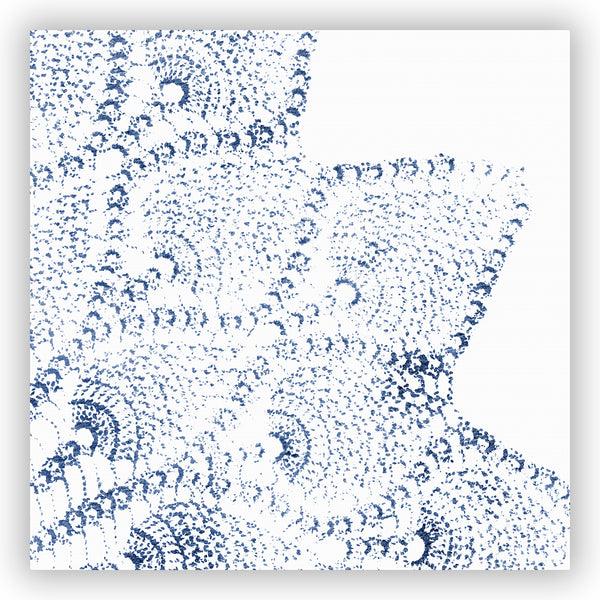 Navy Blue and White Lace Print Shower Curtain - Metro Shower Curtains