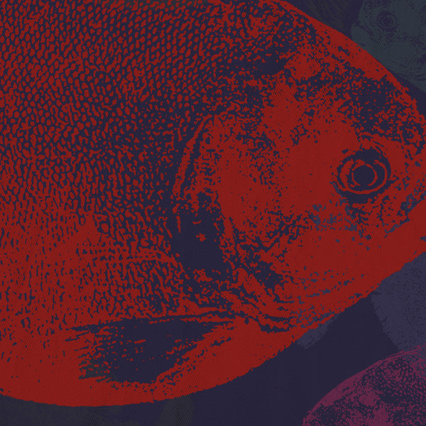 Red Piranha Shower Curtain / Reds & Navy Blue - Metro Shower Curtains