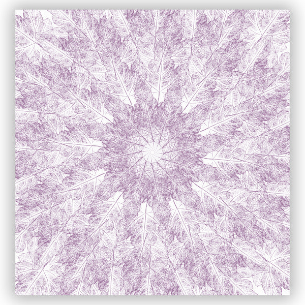 Light Purple on White Leaf Prints in A Contemporary Starburst Mandala Shower Curtain - Metro Shower Curtains