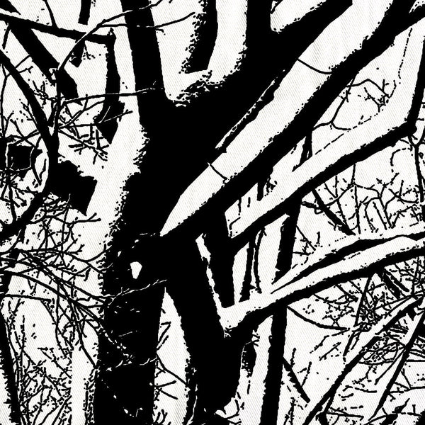 Black and White Trees in Winter Shower Curtain