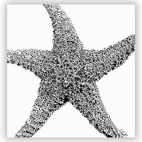Black and White Art Print Starfish Shower Curtain - Metro Shower Curtains