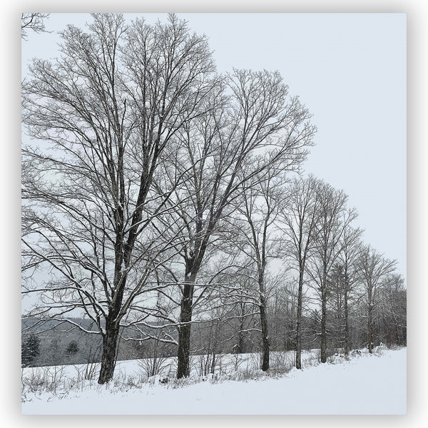 Snowy Vermont Farm & Forest Shower Curtain