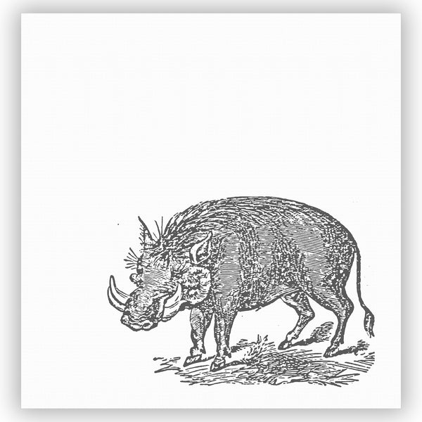 Wild Warthog Art Shower Curtain