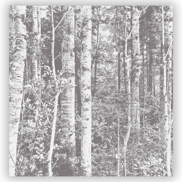 Birch Forest Warm Gray & White Shower Curtain