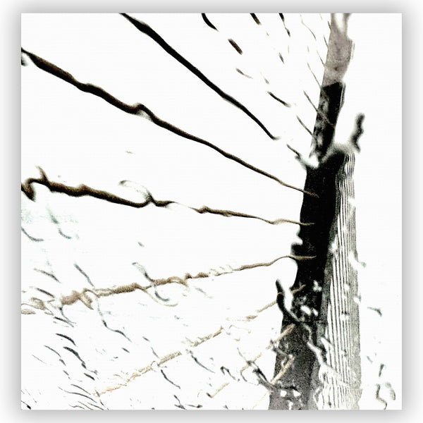 Bridge Cables Black and White Shower Curtain