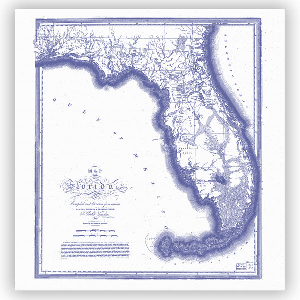 Vintage Map of Florida Blue & White Shower Curtain - Metro Shower Curtains