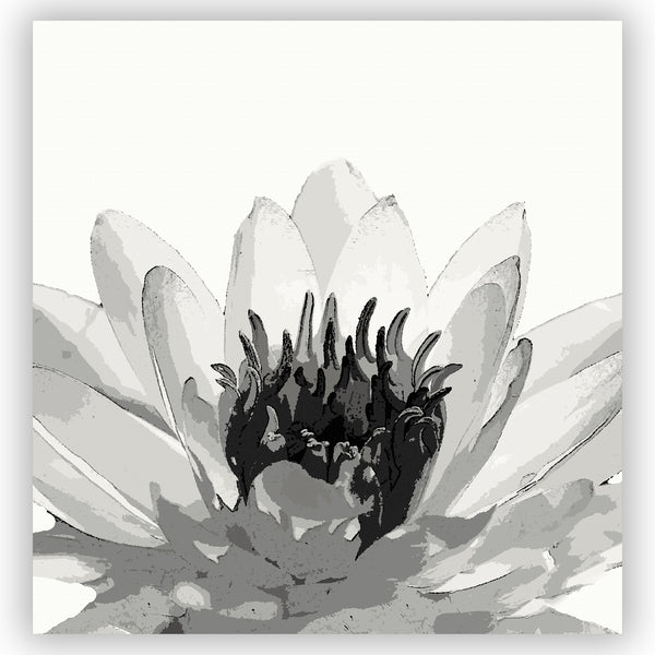 Giant Water Lily Black and White Spa Shower Curtain - Metro Shower Curtains