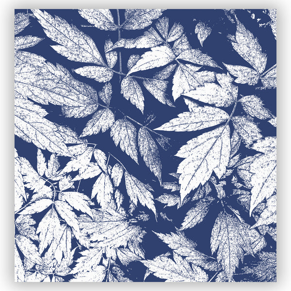 Cobalt Blue & White Jungle Leaves Large Scale Art Print Shower Curtain - Metro Shower Curtains