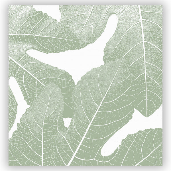 Tuscan Fig Leaves Botanical Shower Curtain, Olive Green & White - Metro Shower Curtains