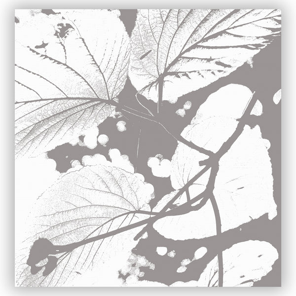 Giant Gray Linden Branch Shower Curtain - Metro Shower Curtains