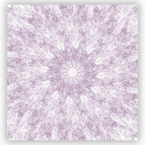 Light Purple on White Leaf Prints in A Contemporary Starburst Mandala Shower Curtain - Metro Shower Curtains