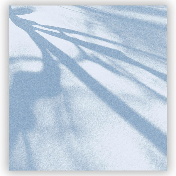 Tree Shadows on Snow Shower Curtain